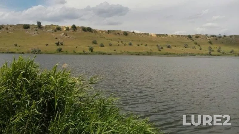 Карп, Карась — Тугулук, 09 июл. 2017 г.