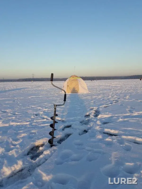 Окунь, Плотва — Белоярское, 17 дек. 2018 г.