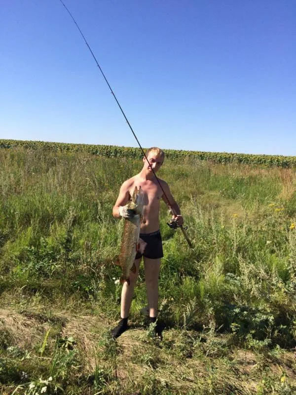 Щука