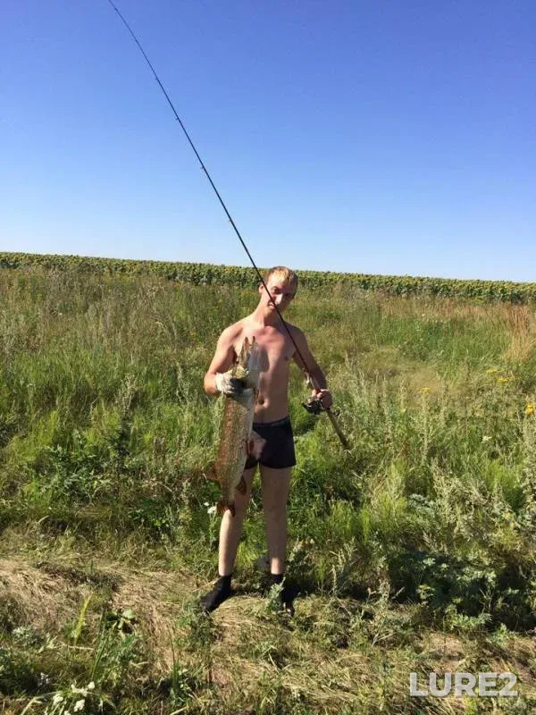 Щука — Быстрая Сосна, 11 авг. 2017 г.