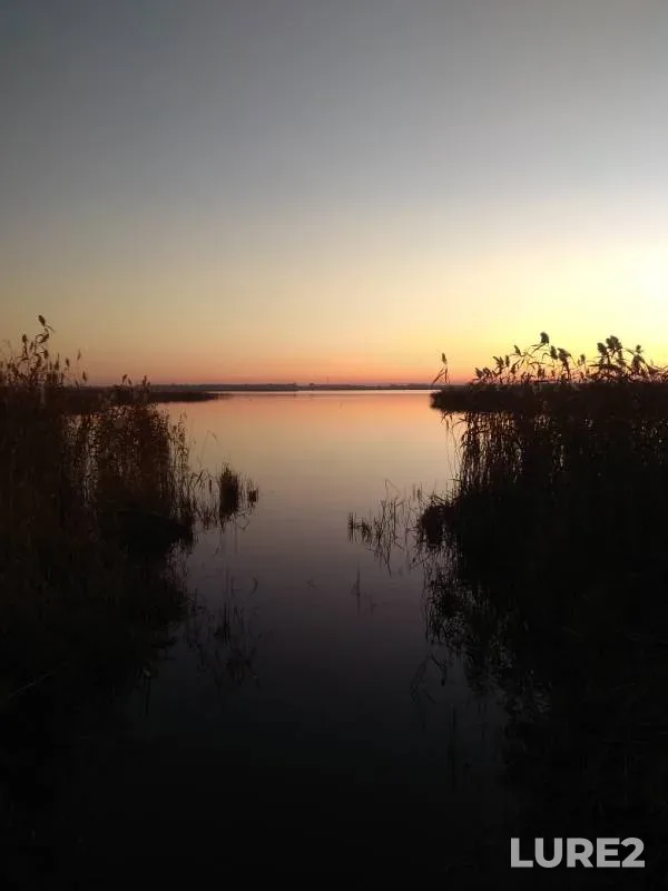 Лещ, Карась — Шелюгино, 08 окт. 2019 г.