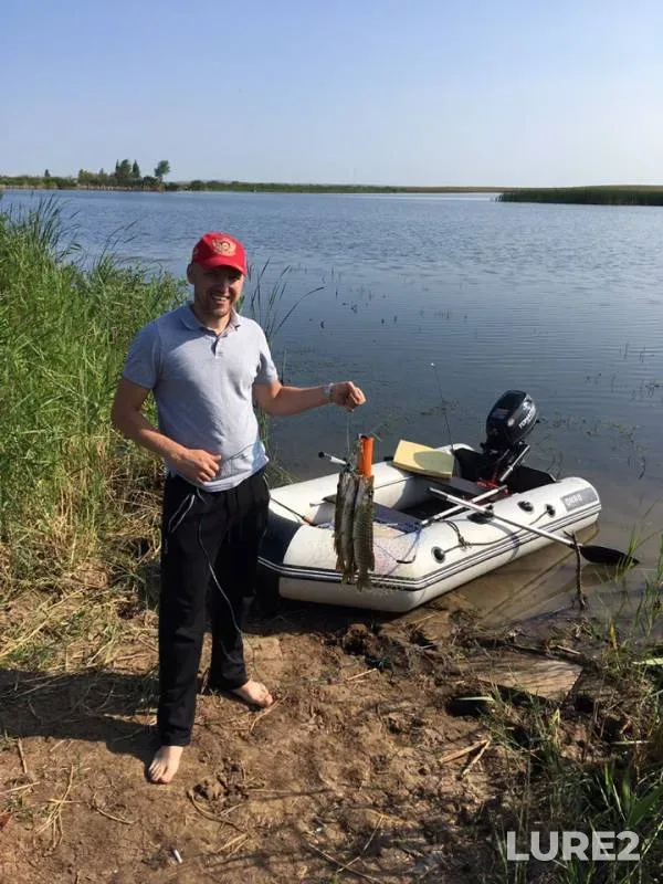 Щука — Челябинская область, Пластовский район, 26 июл. 2019 г.