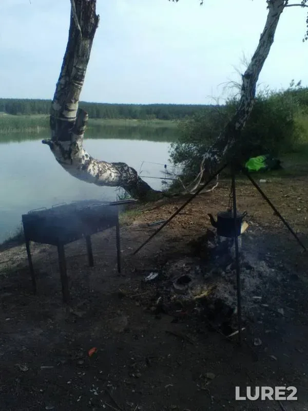Карп — Кабанка, 18 авг. 2019 г.