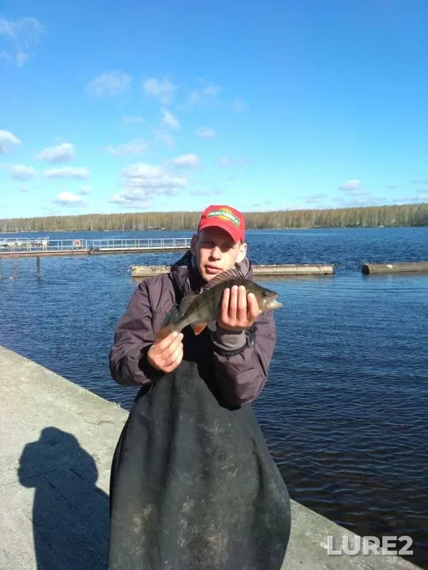 Лещ, Окунь — Десна, 29 апр. 2018 г.