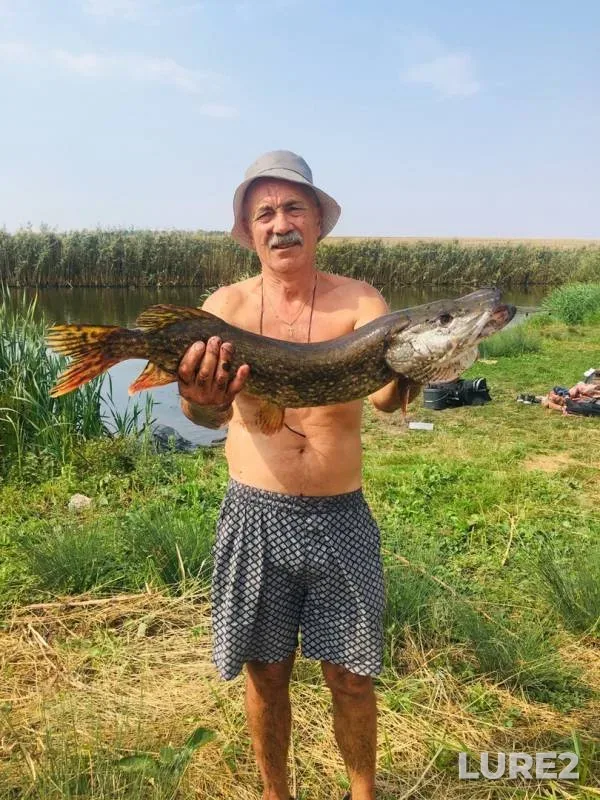 Щука — Белгородская область, 05 сент. 2019 г.