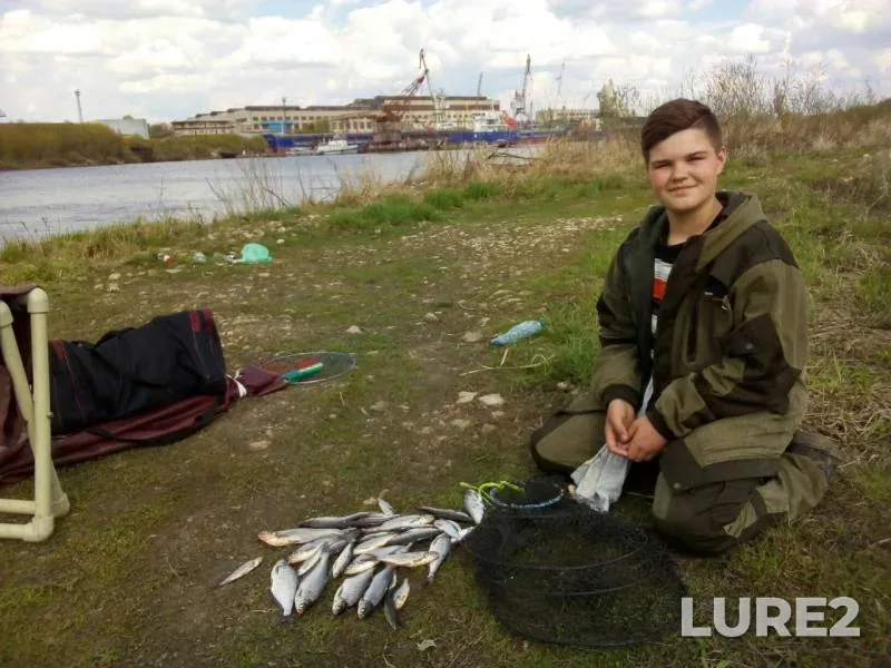 Лещ, Плотва — Нижегородская область, 05 мая 2019 г.