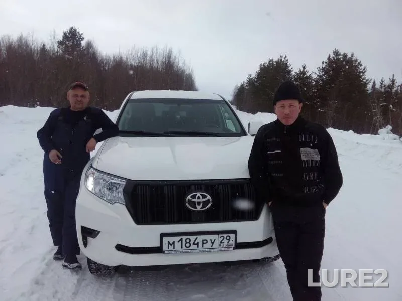 Форель
