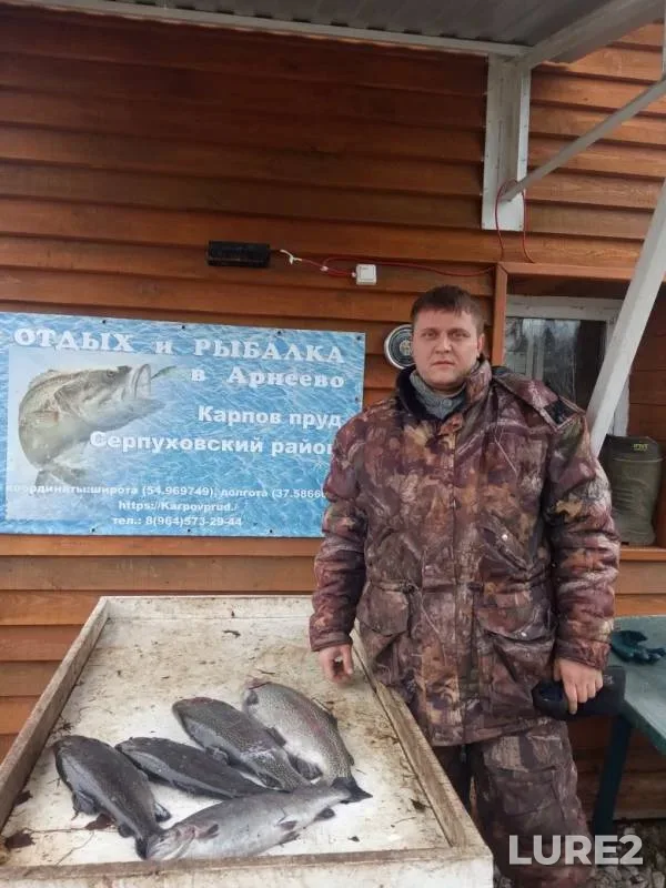 Форель