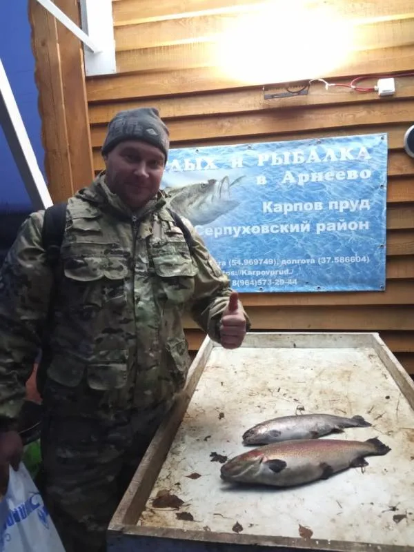Форель радужная