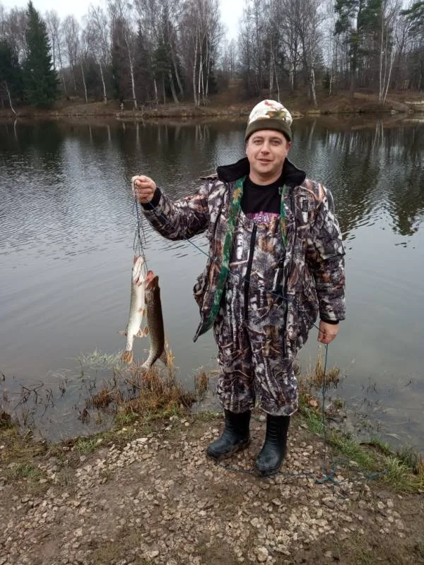 Щука