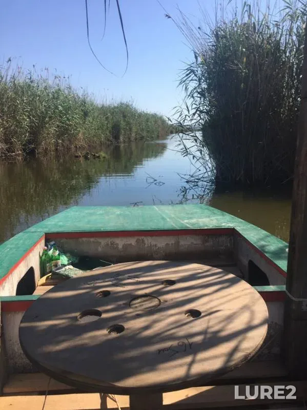 Карась, Окунь — Казачий Ерик, 04 июл. 2019 г.