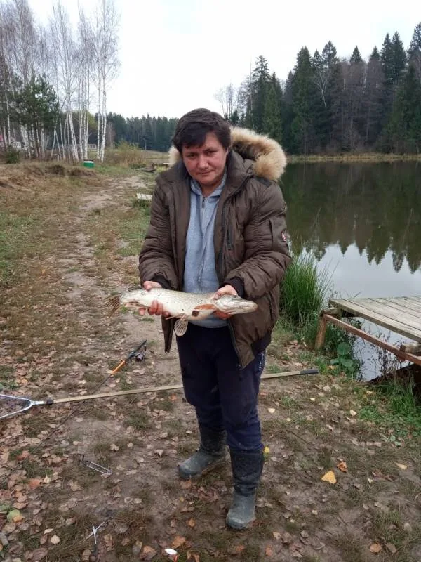 Щука