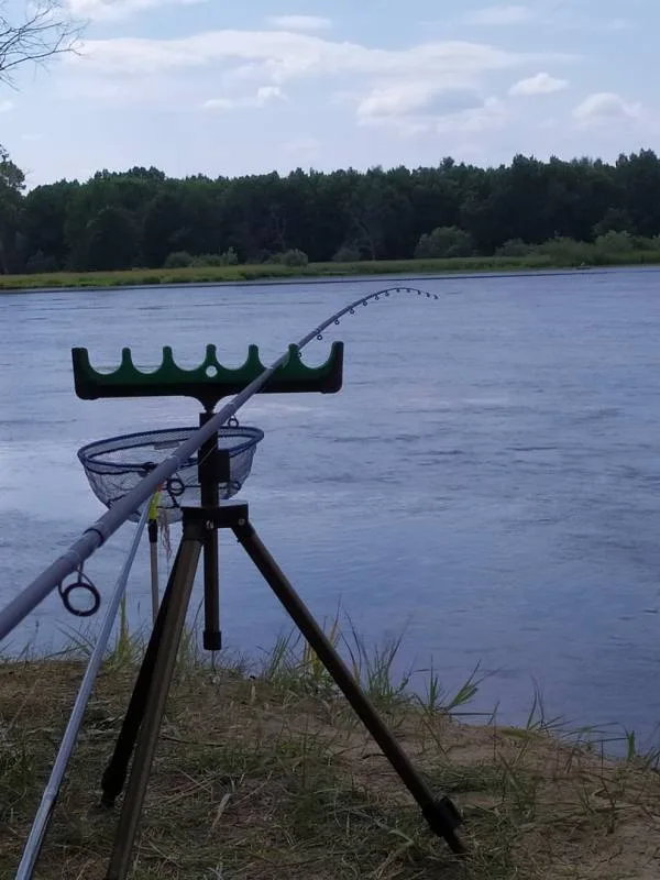 Лещ, Язь