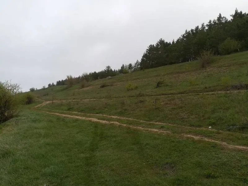 Лещ