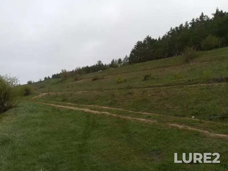 Лещ — Дон, 17 мая 2019 г.