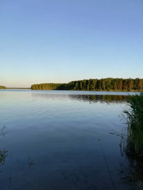 Лещ