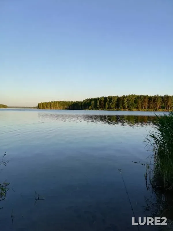 Лещ — Десногорское, 21 июн. 2018 г.