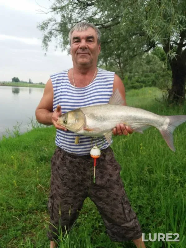 Лещ, Щука — Республика Адыгея, Теучежский район, 25 мая 2019 г.