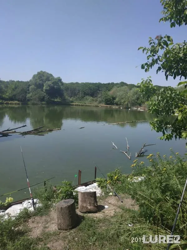 Карп — Чамлык, 10 июл. 2019 г.