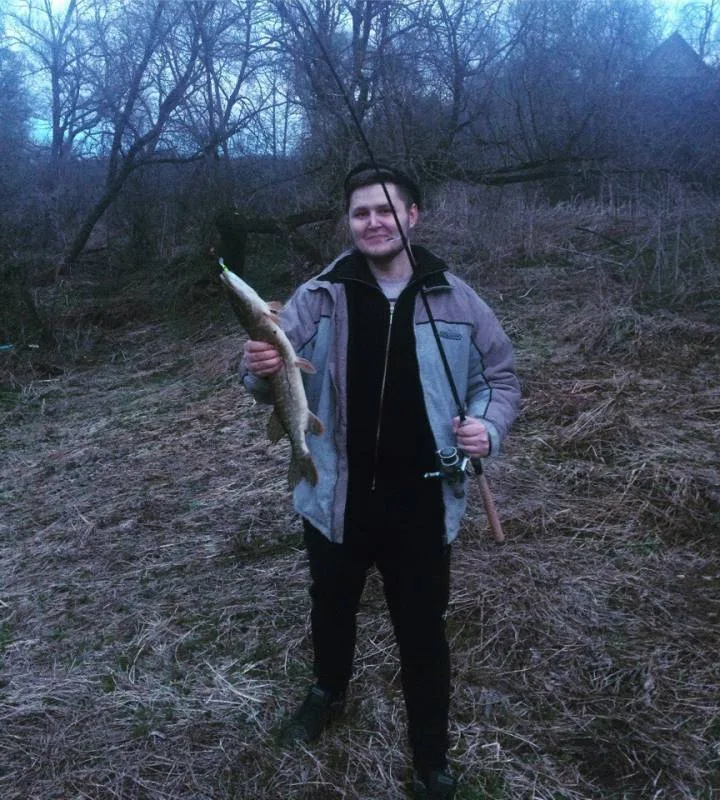 Щука