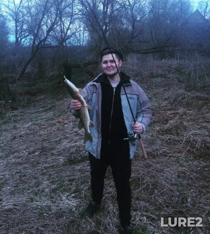 Щука