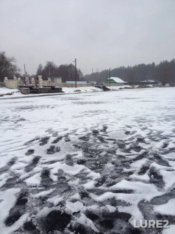 Окунь