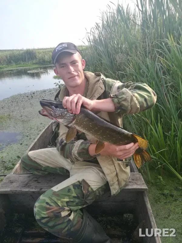 Щука — Мышанка, 02 сент. 2018 г.