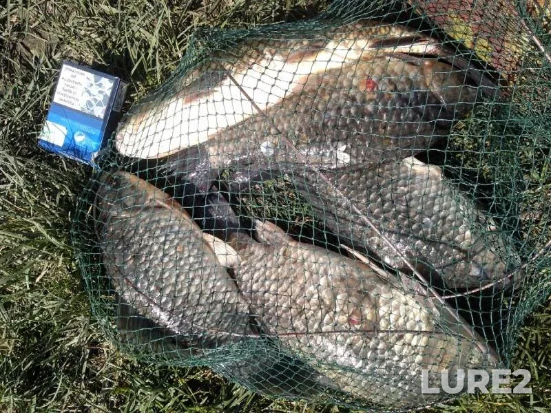 Карась — Дніпропетровська область, 27 мая 2019 г.