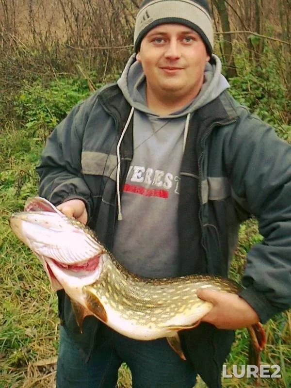 Щука — Дніпропетровська область, Кам'янський район, 04 нояб. 2012 г.