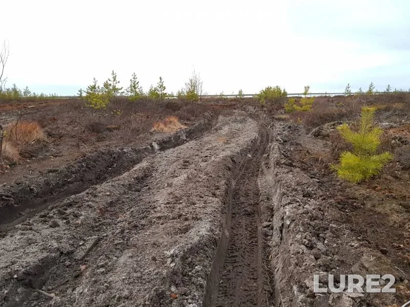 Окунь, Щука — Вынгапур, 05 окт. 2019 г.