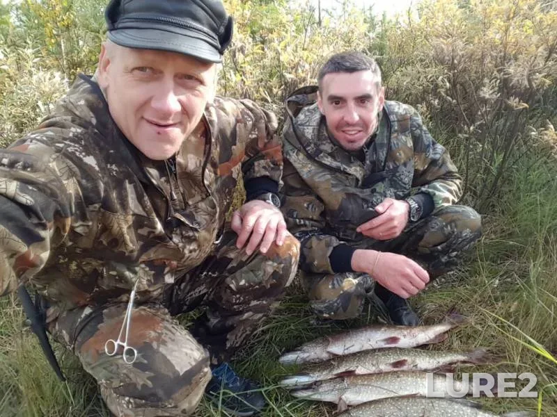 Окунь, Щука — Вынгапур, 10 сент. 2019 г.