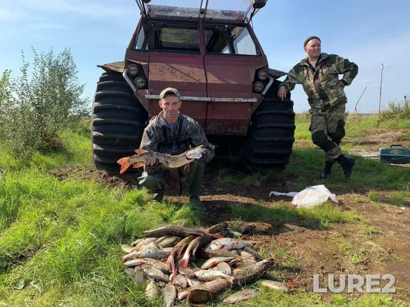 Окунь, Щука — Тету-Мамонтотяй, 14 авг. 2019 г.