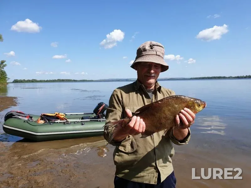 Лещ — Волга, 07 авг. 2019 г.