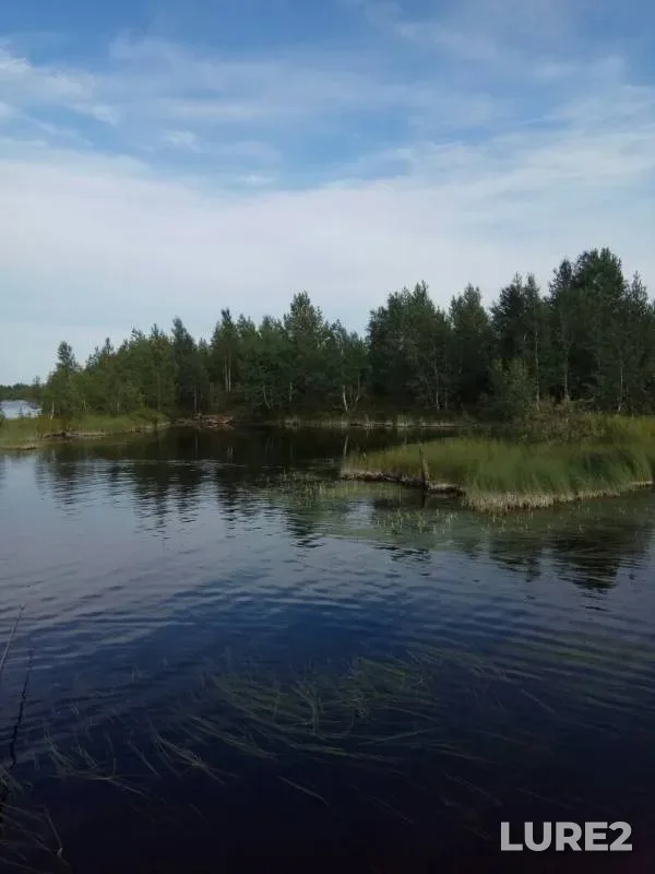 Окунь, Щука — Лупуингухта, 06 авг. 2019 г.