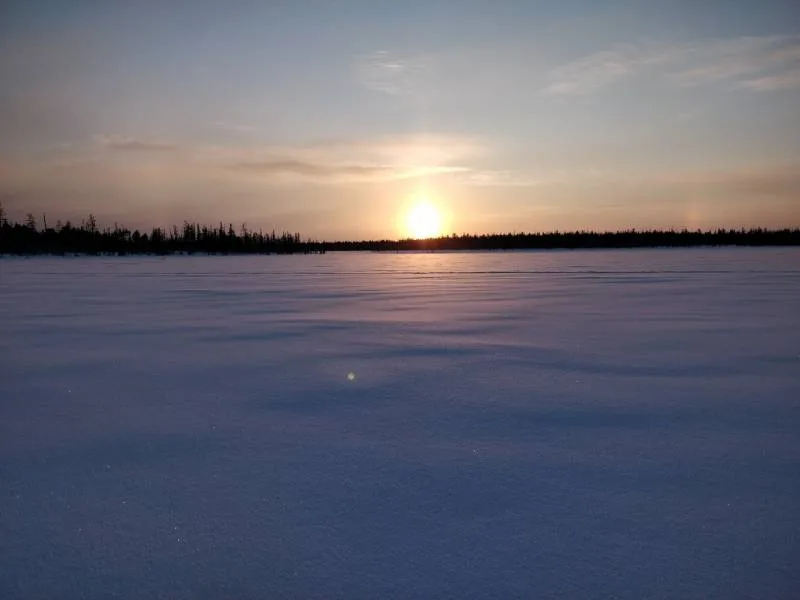 Окунь, Щука