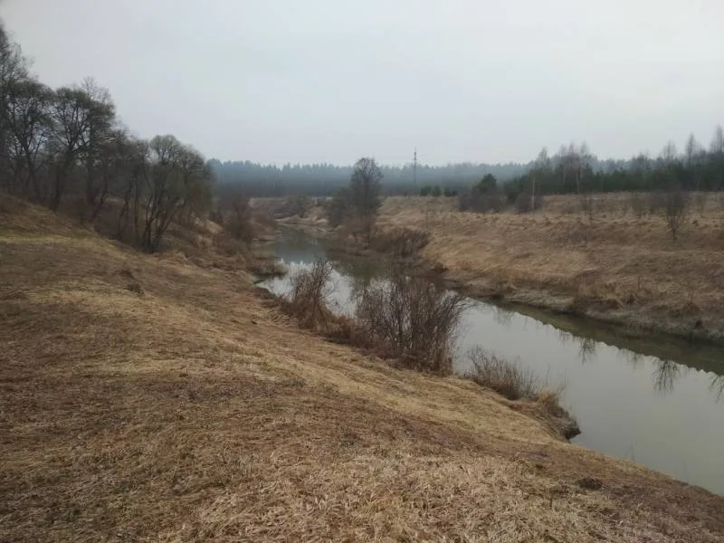 Окунь
