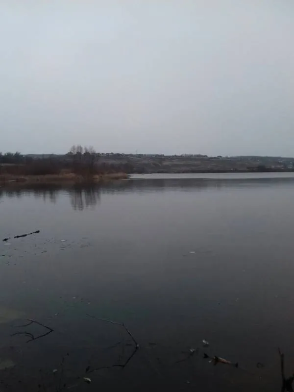 Щука