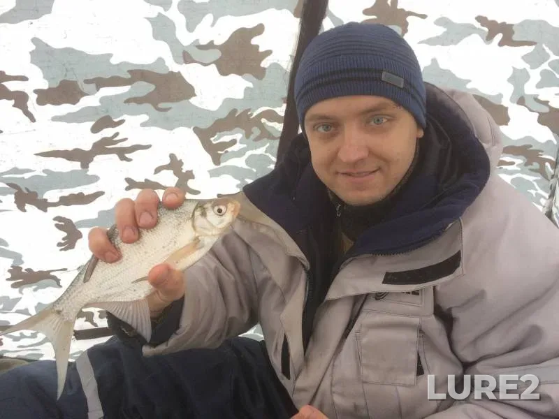 Лещ, Плотва — Черновское, 10 дек. 2016 г.