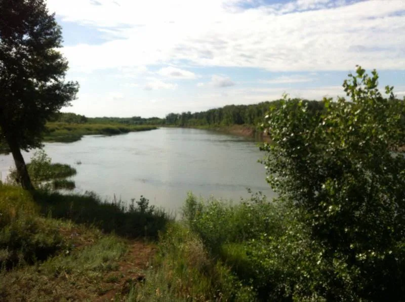 Голавль