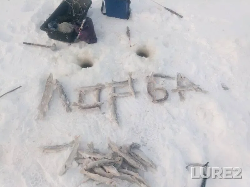 Щука — Хугот, 20 нояб. 2019 г.