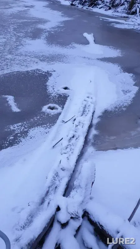 Щука — Нягынь-Юган, 26 окт. 2019 г.