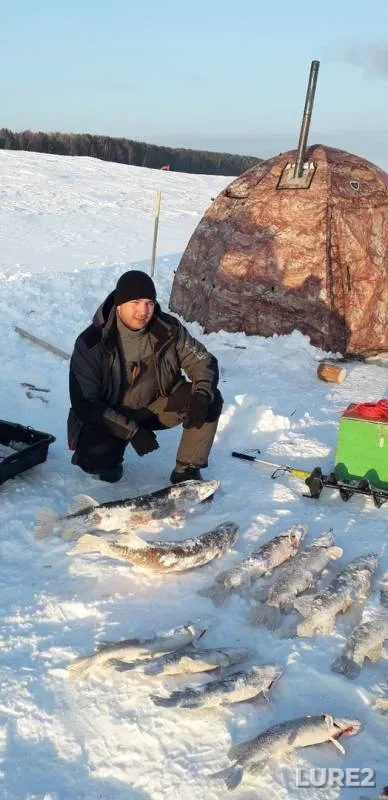 Щука — Малый Атлым, 20 февр. 2019 г.
