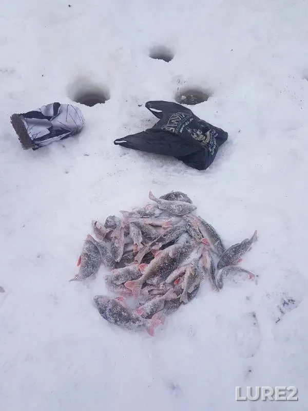 Окунь — Хугот, 20 дек. 2018 г.