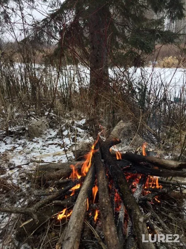 Щука — Красноярский край, 12 нояб. 2019 г.