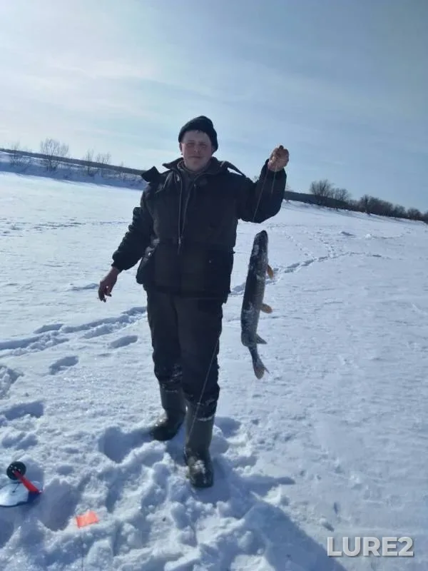 Щука — Кан, 24 февр. 2019 г.