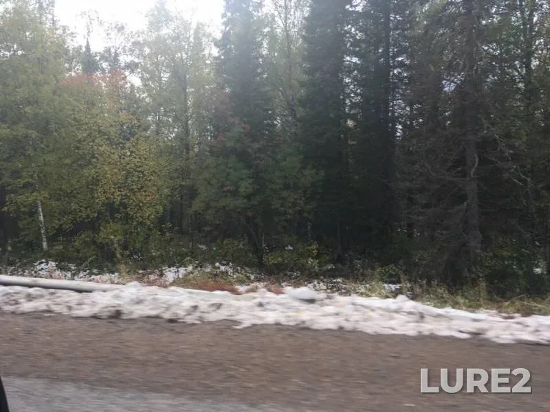 Окунь, Щука — Красноярское, 17 сент. 2018 г.