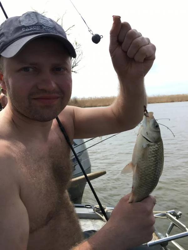 Карась
