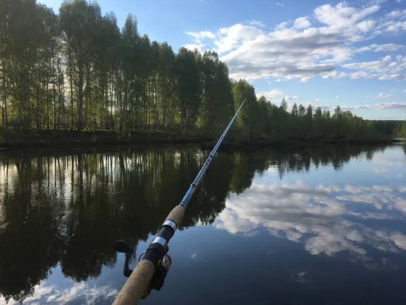Щука