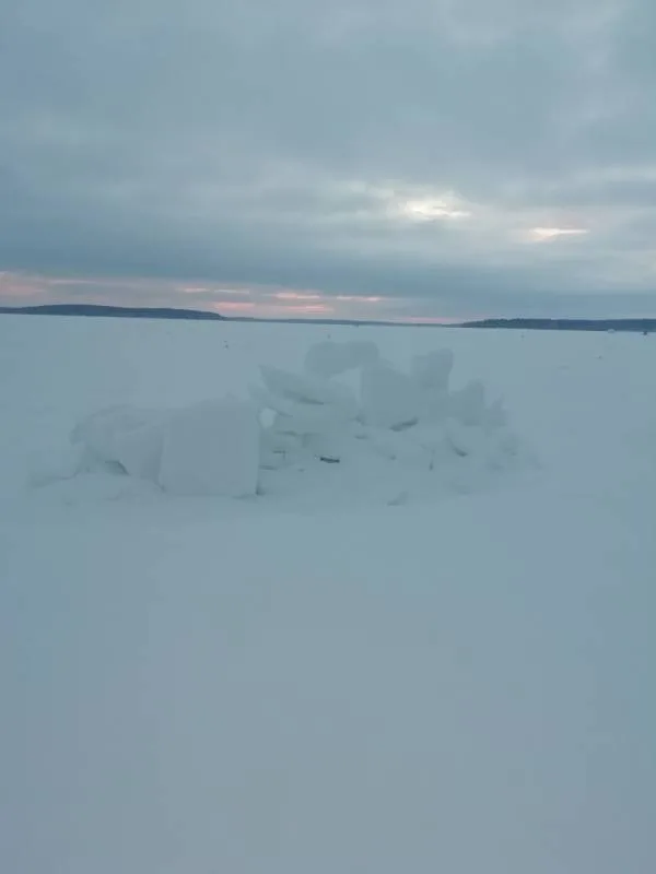 Лещ, Окунь