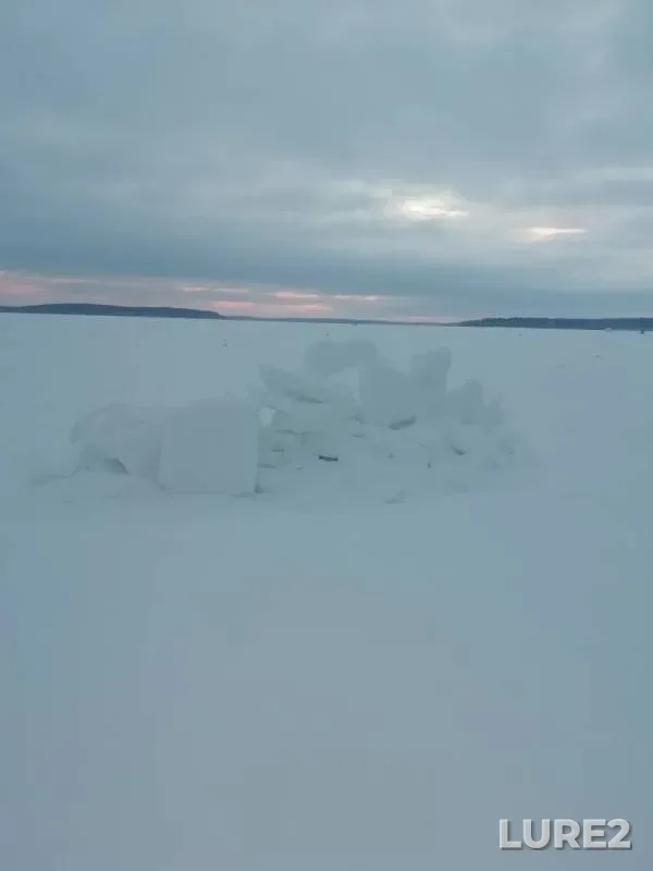 Лещ, Окунь — Волчихинское, 17 янв. 2019 г.
